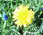 200505161418.jpg