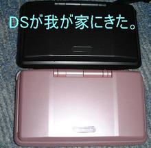 DSきーたー