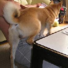 ちょっと、通りますよ~~