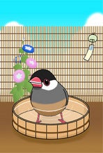 あさがお文鳥