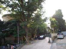 建物横