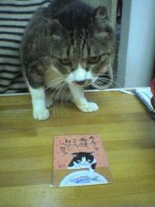 お猫様