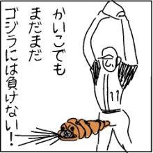 nomo11