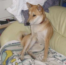 変すかぁ?