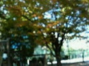 200611081202000.jpg