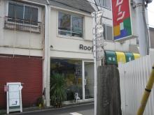 roof01