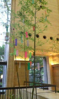 20060629184908.jpg
