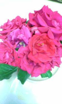 20060522210118.jpg