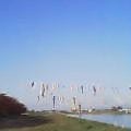 20050503_0626_000.jpg