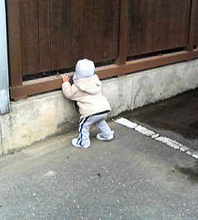200503271038.jpg