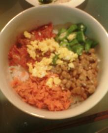 爆弾丼