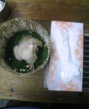 ハリスとティッシュ