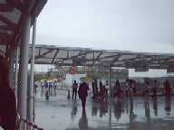 雨の西ゲート1