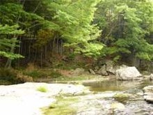 都幾川