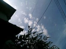 sky*