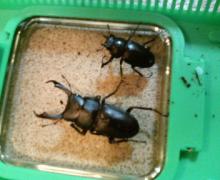 はじめまして