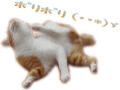 耳掻きﾈｺ