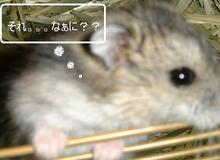 それなぁに？？？