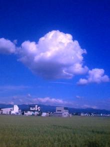 青空綿飴.JPG