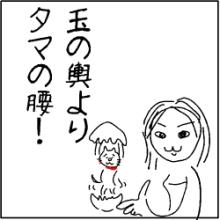 tama