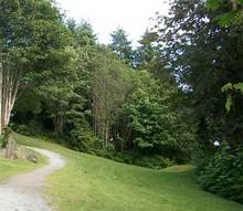 近所の公園