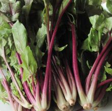 サラダ用ホウレン草