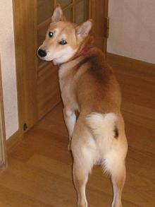 一緒におでかけ・・