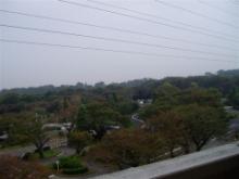 photo.jpg