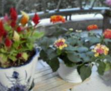 200611191809000.jpg