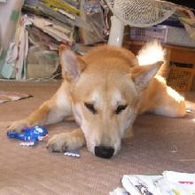 前から見たら・・