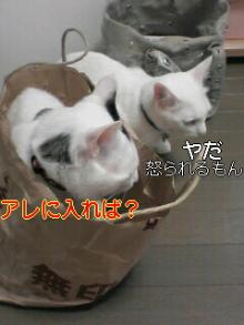 トラウマ.jpg