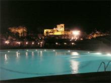 2006-0803.jpg