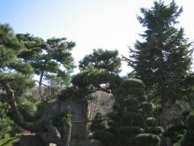 庭園