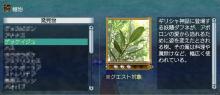 ゲッケイジュ