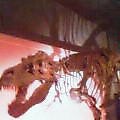20050416_1202_000.jpg