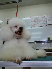 20061020112310.jpg
