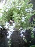05-06-07_08-54.jpg