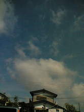 05-05-23_08-23.jpg