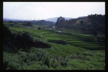 下赤坂の棚田