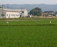 200506211706000.jpg