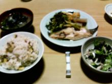 P1000037.jpg