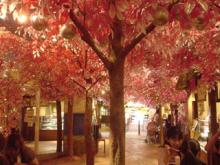 スィーツフォレスト