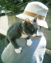 pic_0588.jpg