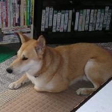 ごみん。。