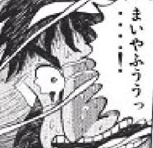 マイヤヒーカイジ