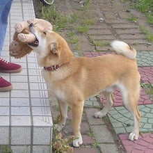 お気に入りの相手