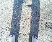 200504241633.jpg