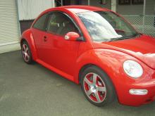 beetle