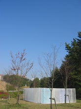 20050527''