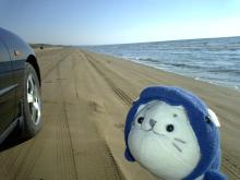 千里浜としゃちたん